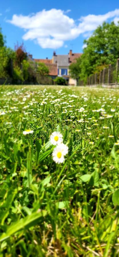 Le Gite Du Nohain Entrains-sur-Nohain Exteriér fotografie