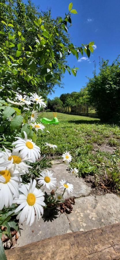 Le Gite Du Nohain Entrains-sur-Nohain Exteriér fotografie